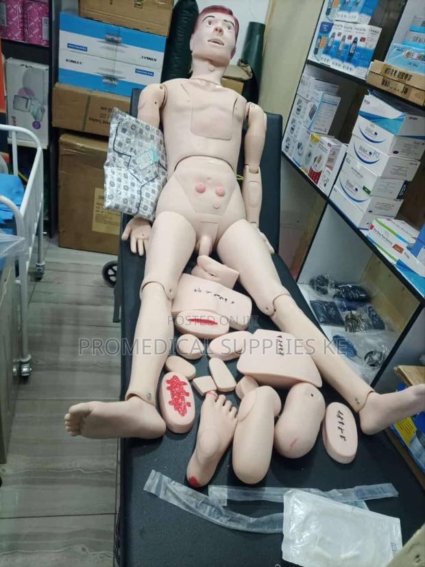 Adult Manikin