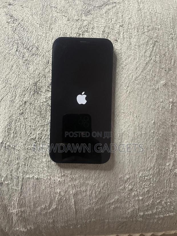 Apple iPhone 12 Pro Max 256 GB Blue - thumbnail 2