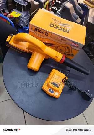 Ingco Cordless Blower