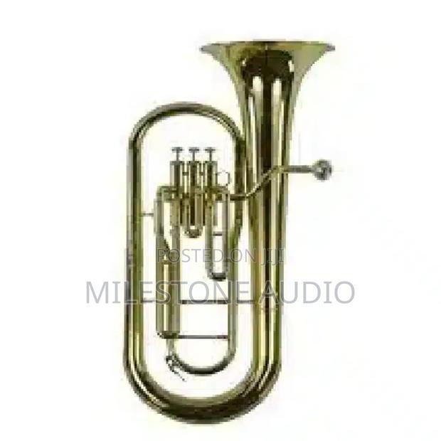 Baritone With Stainless Piston in Kenya - main view