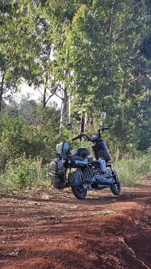 Motorcycle 2025 Green