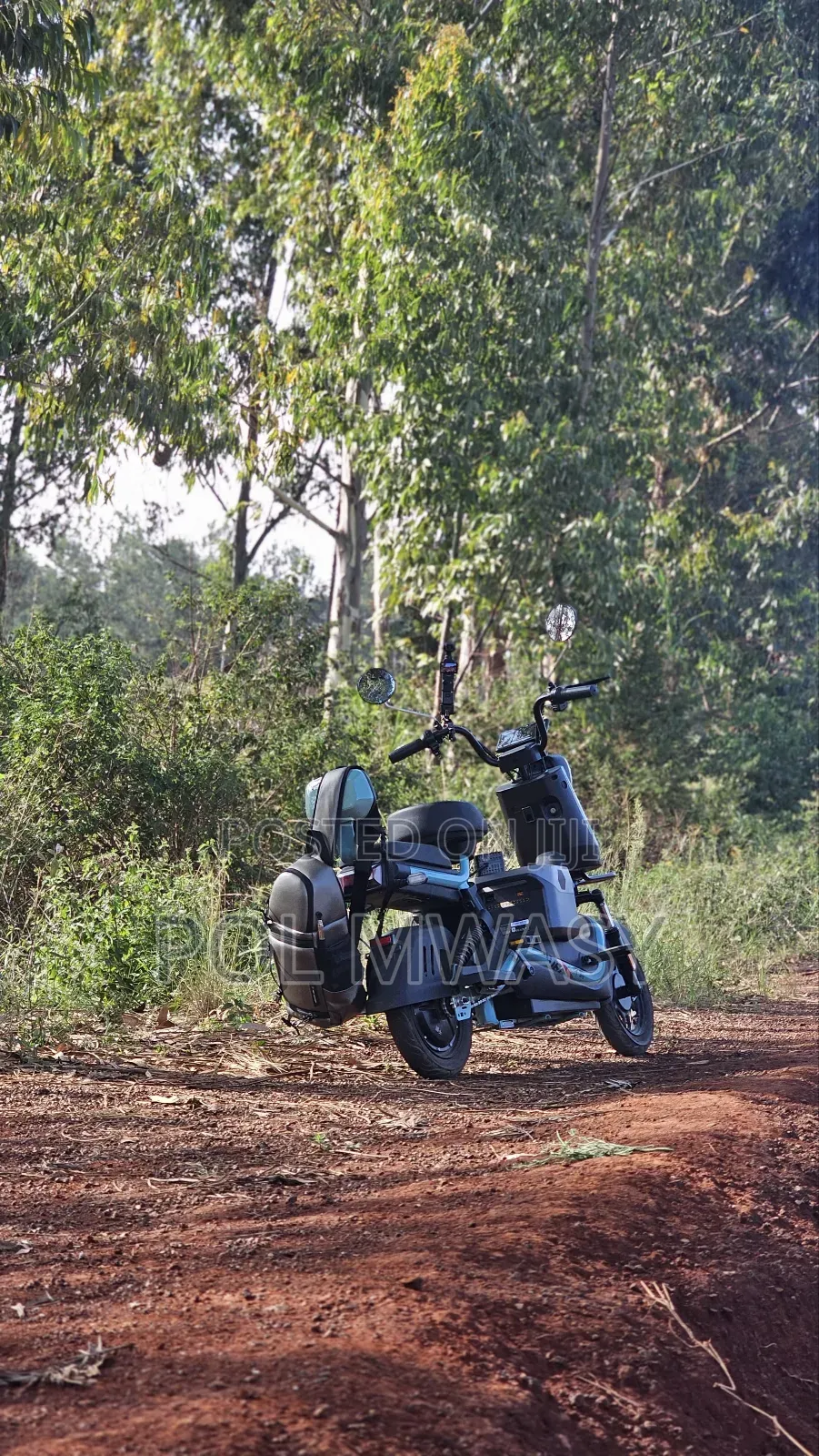 Motorcycle 2025 Green