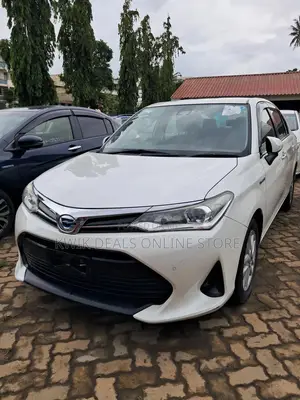 Toyota Axio 2019 White