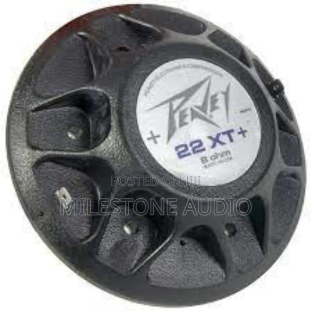 Peavey 22 Xt Tweeter in Kenya