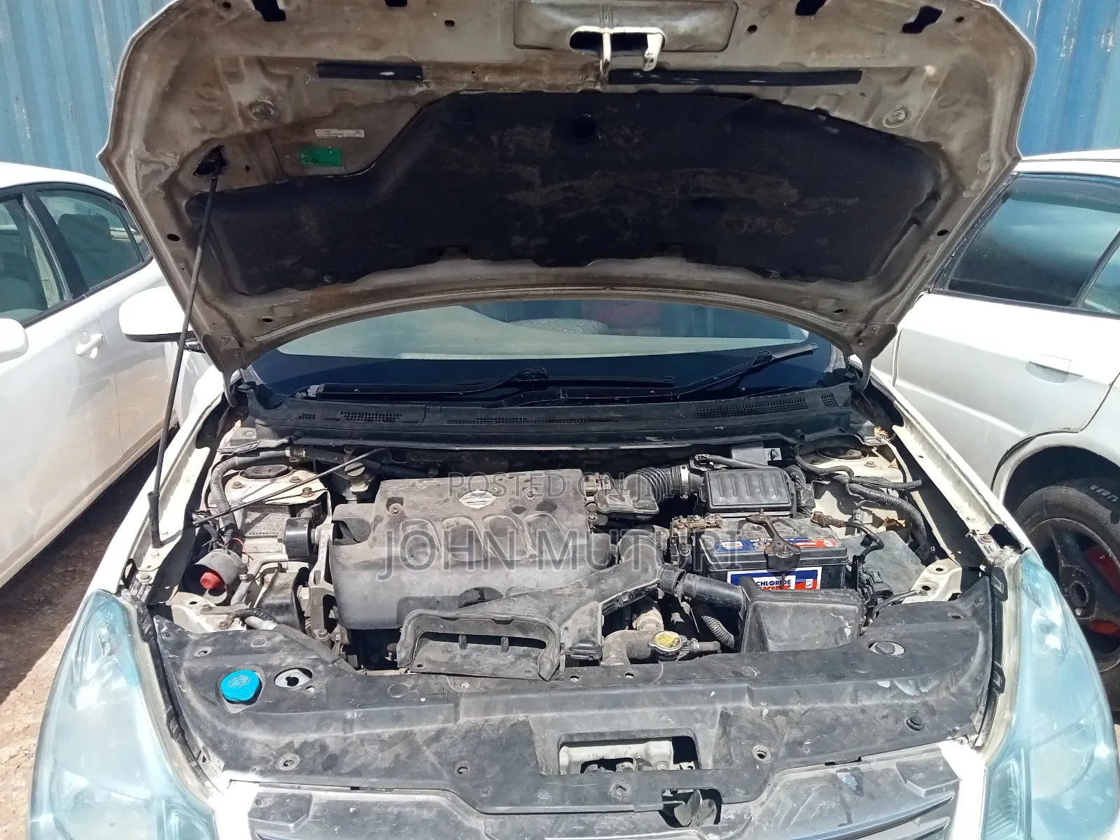 Nissan Sylphy 2008 White