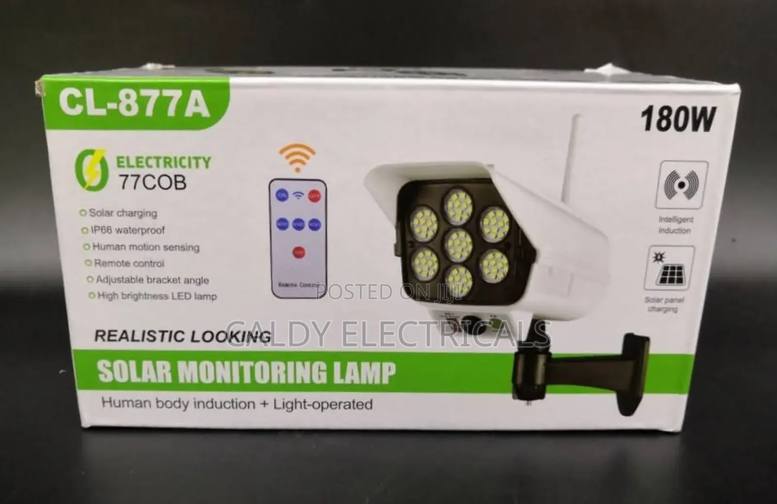 Solar Monitoring Lamp With Motion Sensor F2z