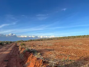 Affordable 0.045ha Nachu Kikuyu