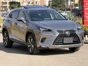 Lexus NX 2019 Silver