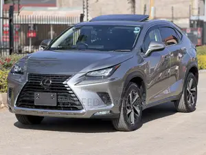 Lexus NX 2019 Silver