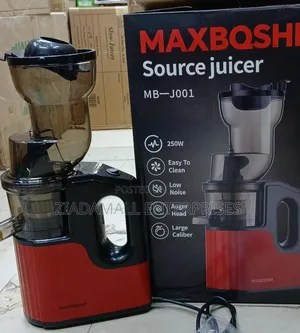 Slow Juicer Freshness You Can Taste in Every Glass