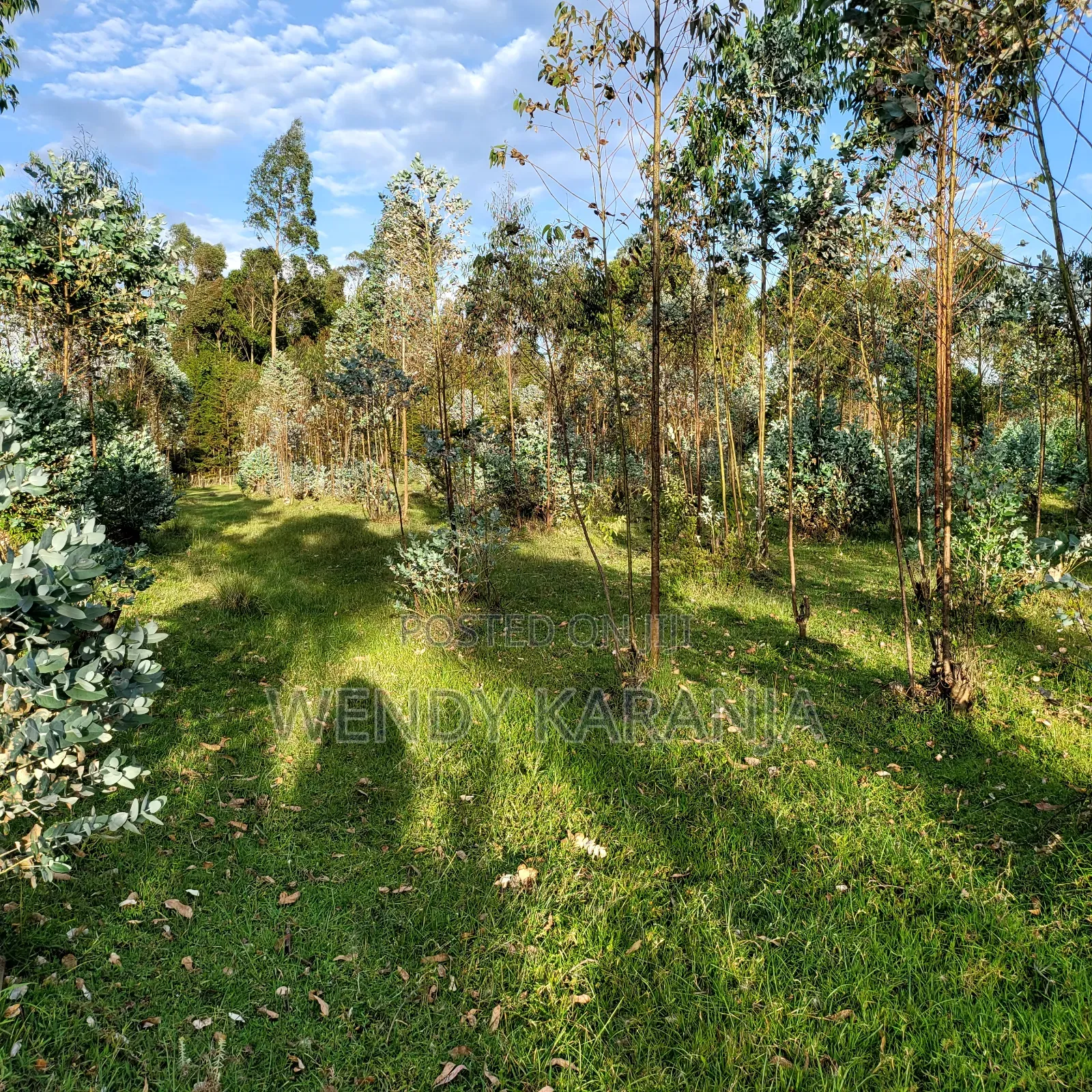 50 by 100 Plot for Sale