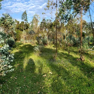 50 by 100 Plot for Sale