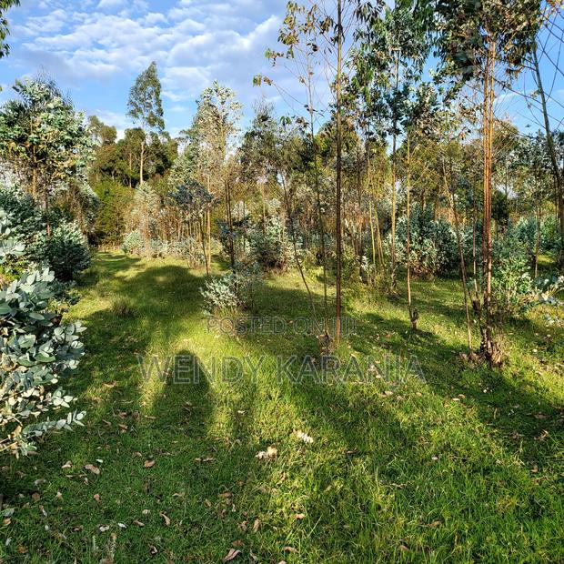 50 by 100 Plot for Sale - main view