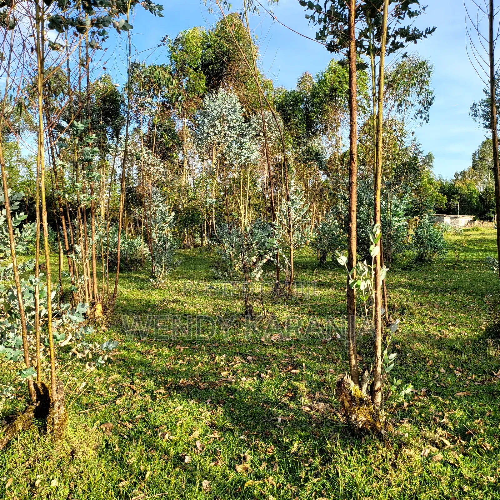 50 by 100 Plot for Sale