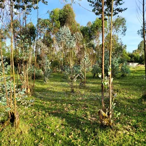 50 by 100 Plot for Sale