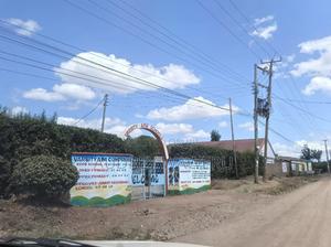 50*100 Plots in Muthara - thumbnail 2