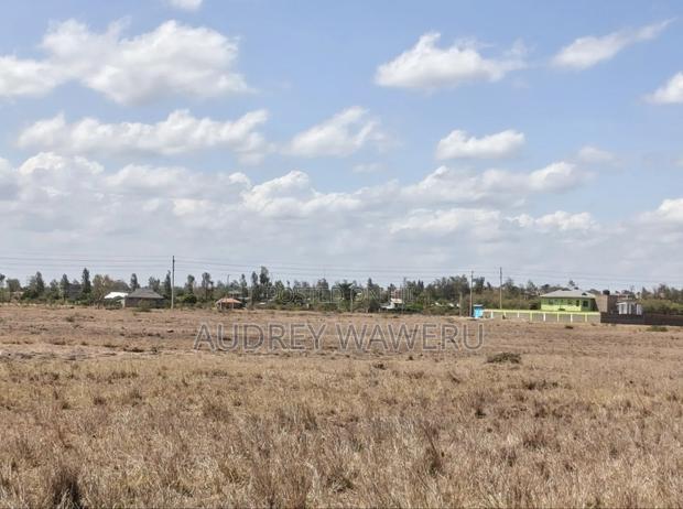 50*100 Plots in Muthara - thumbnail 4