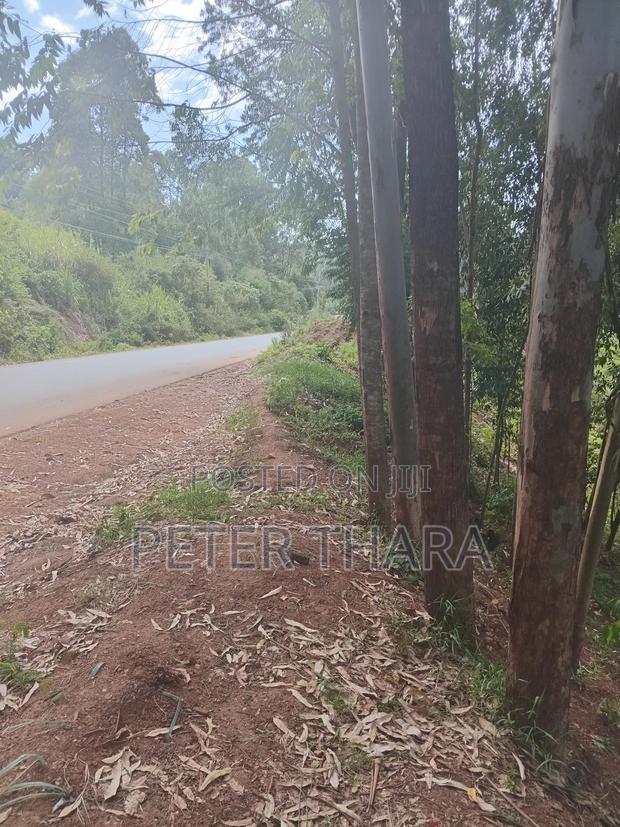 70 X 375 Freehold Title - main view