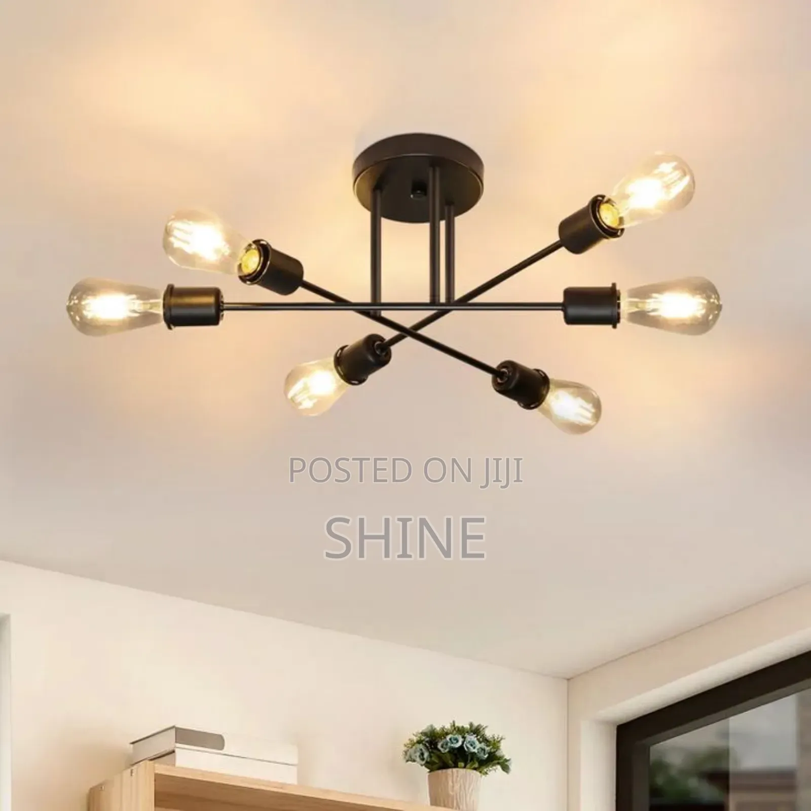 Vintage Ceiling Lights