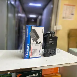 Olesson 1662 Car Power Inverter Charger