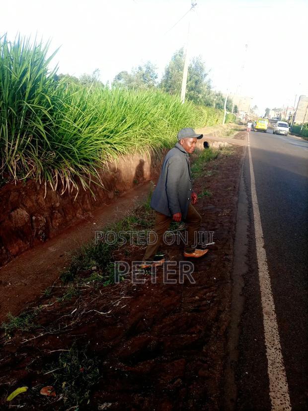 Plot for Sale - main view