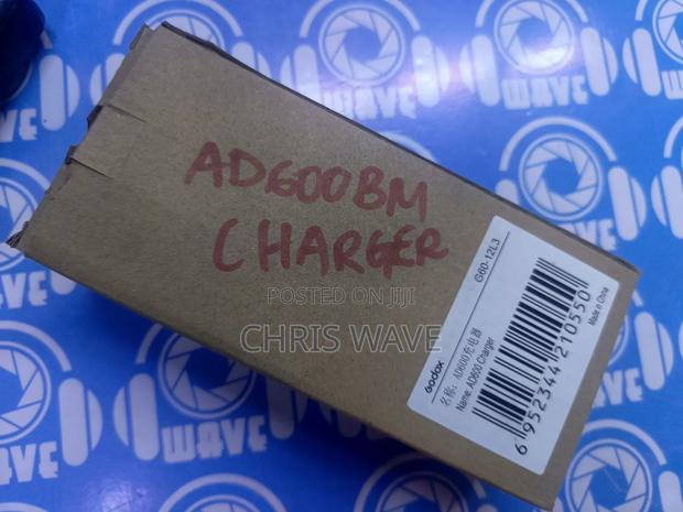 Godox Ad600 Charger