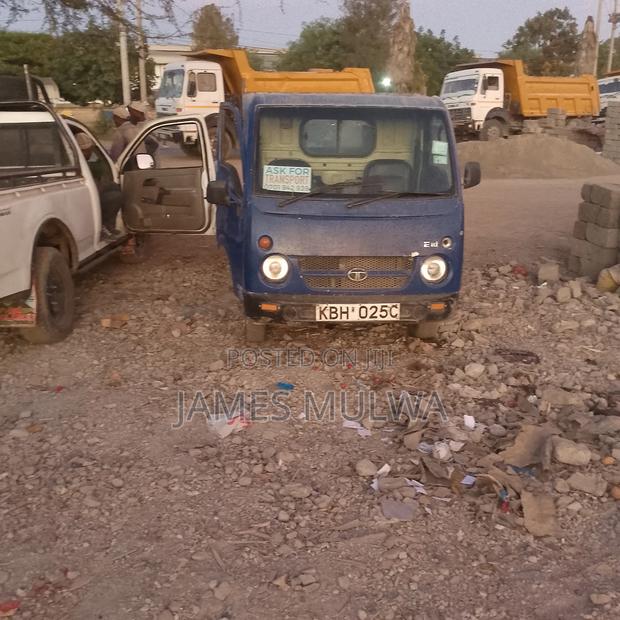Tata Ace 2009 Blue