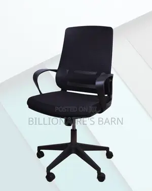 Ergonomic Work Chair| Executive Finish, Lower-Back Support