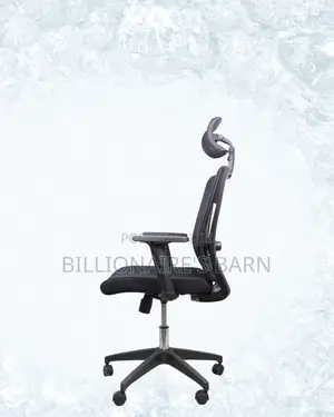 Adjustable Headrest Work Chair • Neat Professional Look, Neck Support