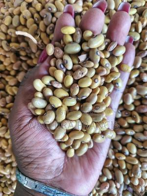 Yellow Beans - main view