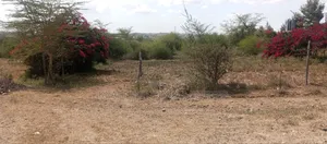 Quarter Acre for Sale in Kenanie