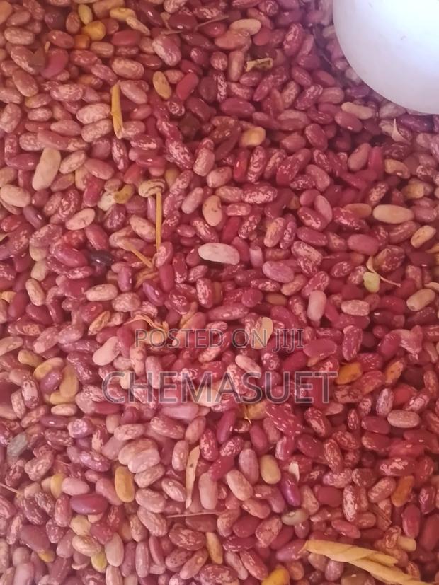 Farm Products - thumbnail 4