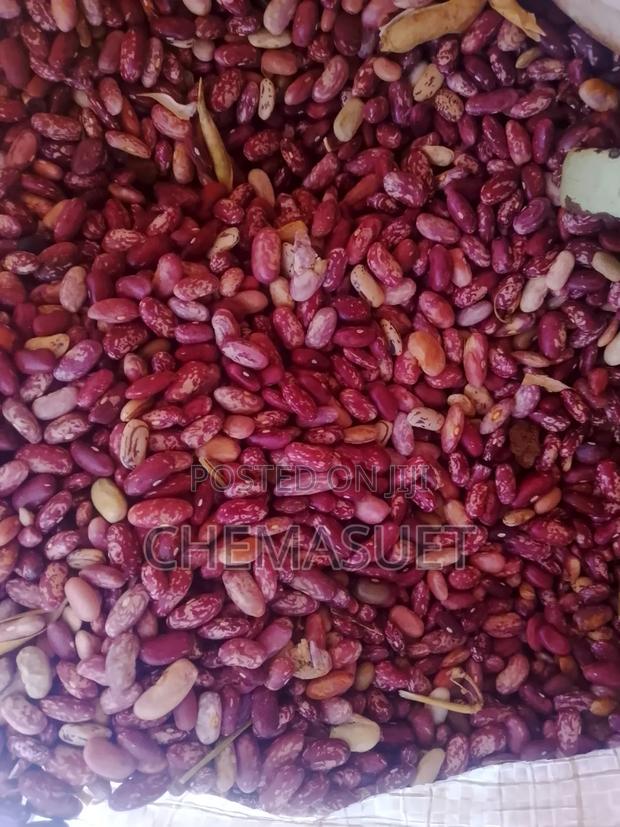 Farm Products - thumbnail 5