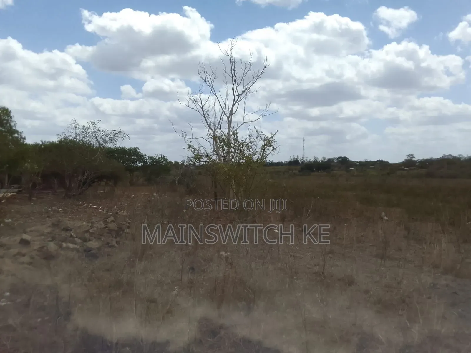11 Acres for Sale, It's a Hot Deal . 500 Metres From Tarmac Road