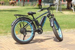 Electric Bike