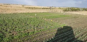 150 Acres Industrial Land – Isinya (Subdivide Flip for Millions!)
