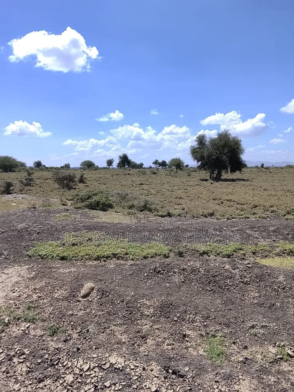 150 Acres Industrial Land – Isinya (Subdivide Flip for Millions!)