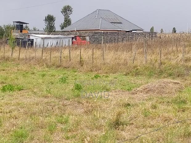 Plot for Sale in Mwariki C