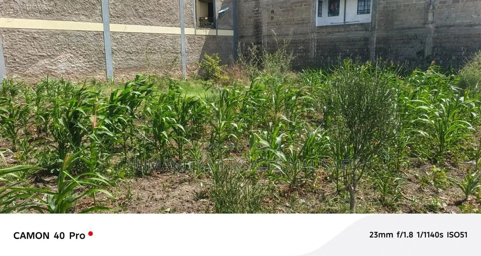 Mwihoko 50 by 100 Commercial Plot for Sell