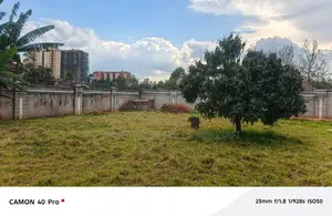 Thome Estate ,Villa for Sell on Half an Acre Land