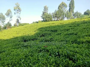 4.5 Acres Of Land On Sale At Karinga- Kangari