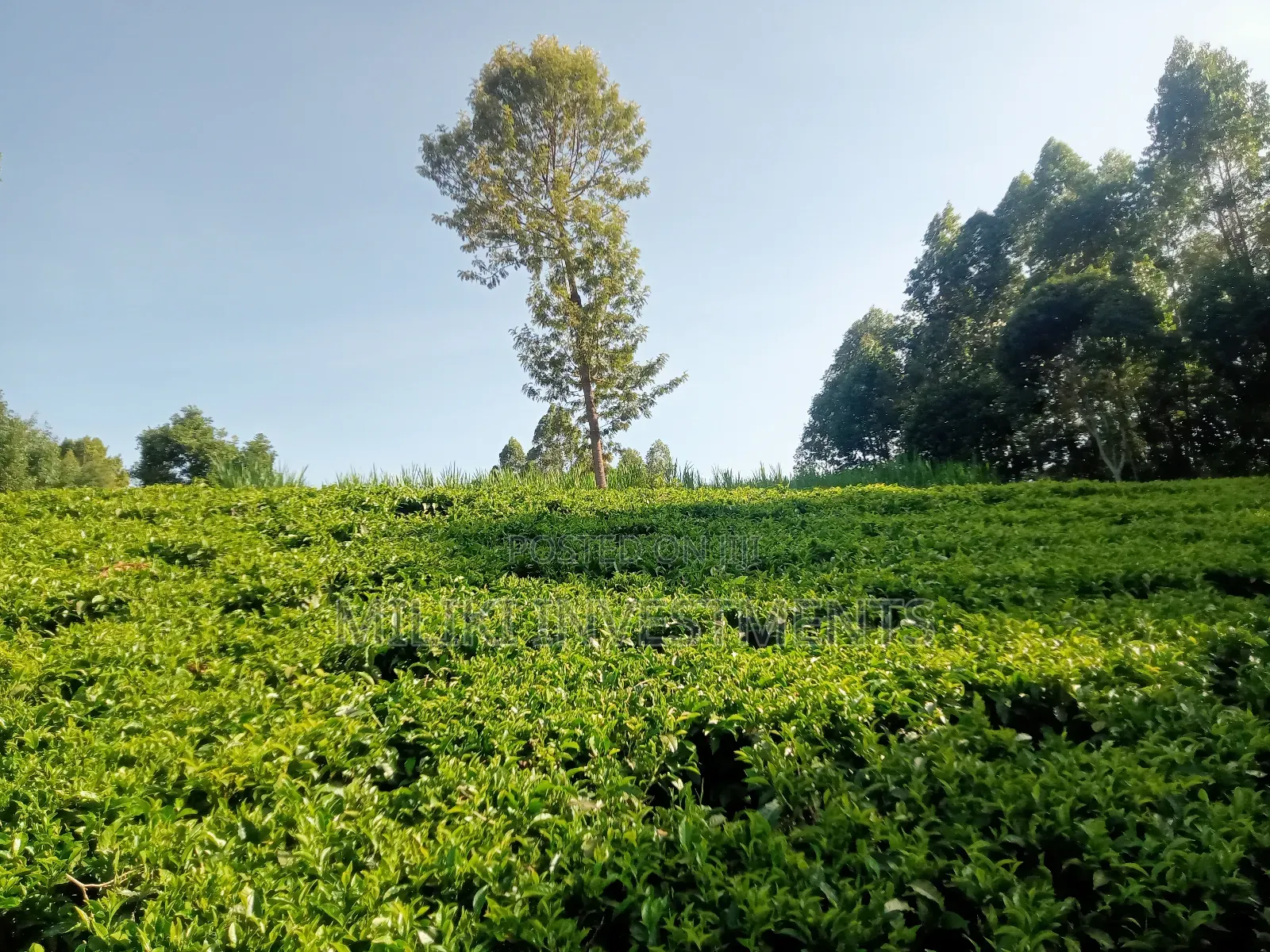 4.5 Acres Of Land On Sale At Karinga- Kangari