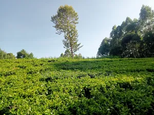 4.5 Acres Of Land On Sale At Karinga- Kangari