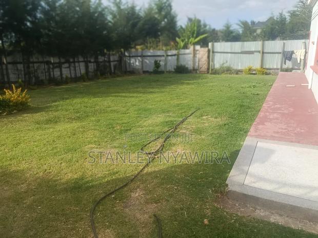 Half Acrea Land Nanyuki Intrukuma - thumbnail 5