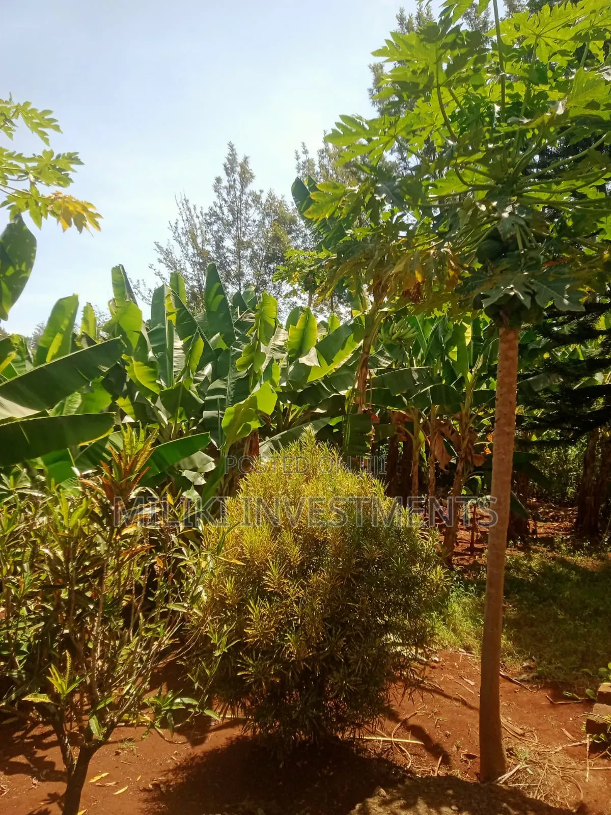 Acre of Land on Sale at Mukuyu