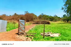 2 Acres, Thika Gatuanyaga, Ready Titledeed for Sell