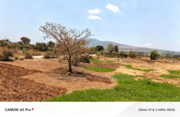 2 Acres, Thika Gatuanyaga, Ready Titledeed for Sell - thumbnail 4