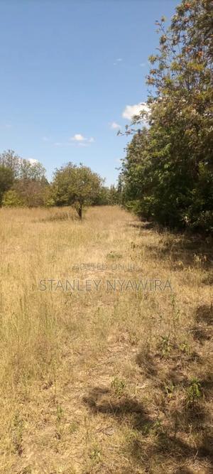 One Prime Acrea Nanyuki - thumbnail 2