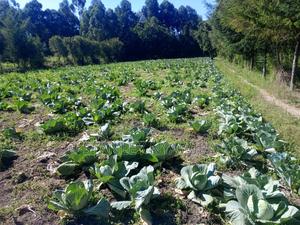 4.5 Acrea Nanyuki Fronting River - thumbnail 2