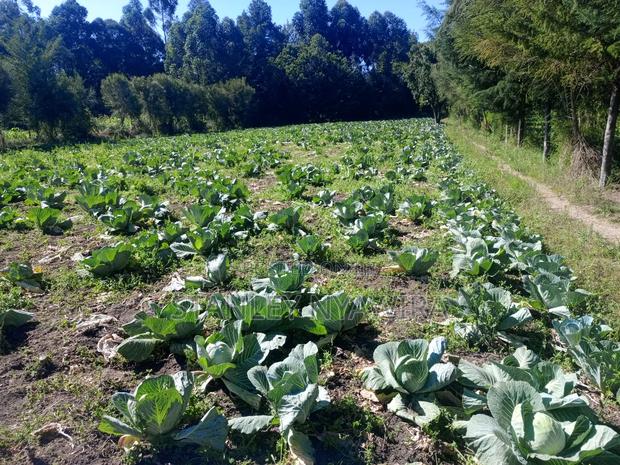 4.5 Acrea Nanyuki Fronting River - main view